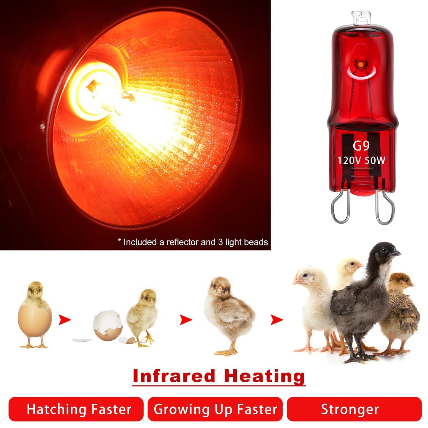 Heat Lamp for Chickens Coop Tiny Chick Brooder, Infrared Flood Light Red Bulbs Replaceable E26 Base 50 Watt Chick Heater for Reptile Pets Duckling Poultry Livestock