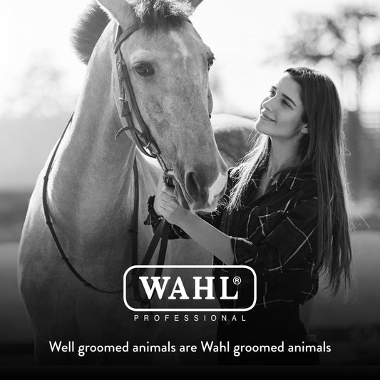 WAHL Professional Animal Equine Soft Body Horse Brush - Black