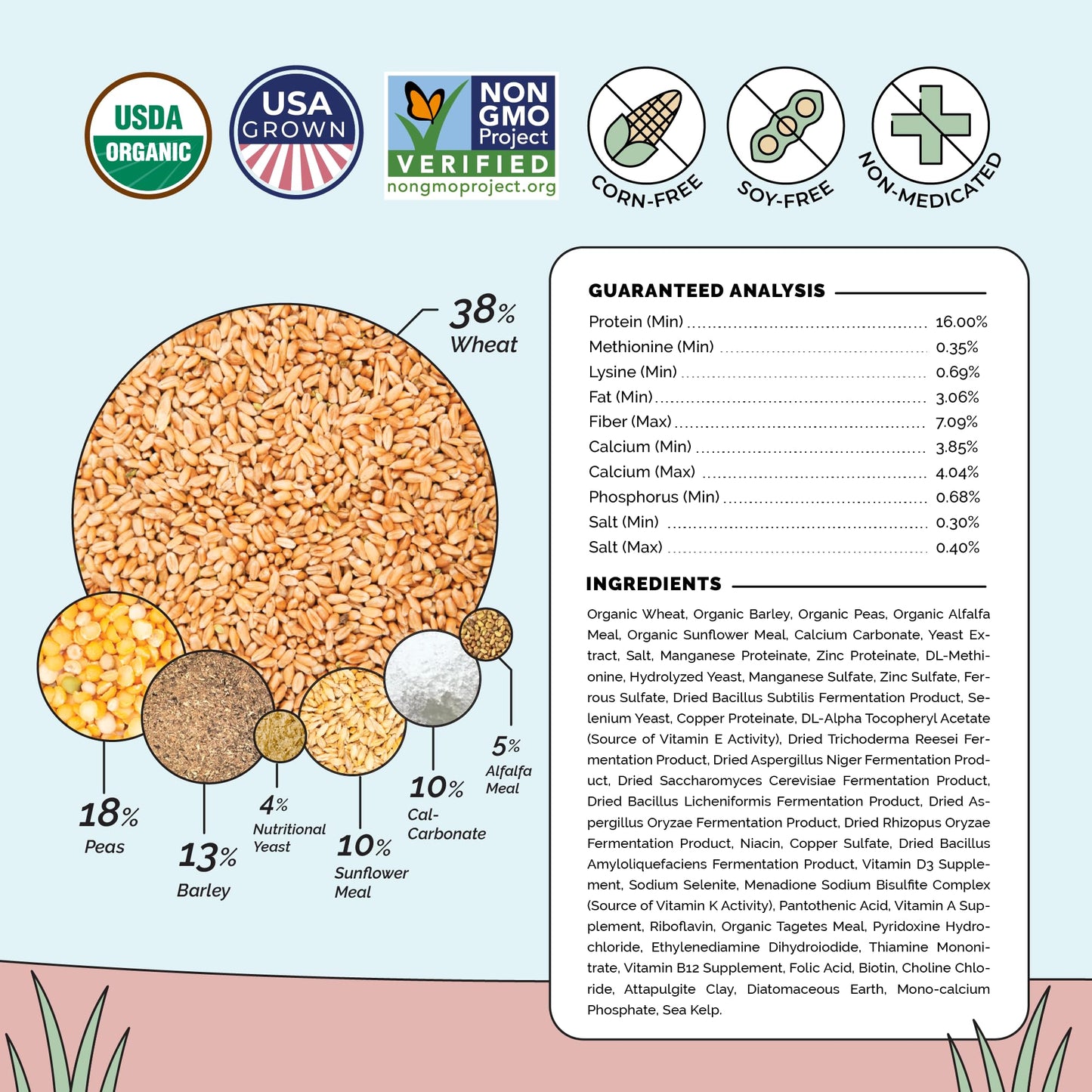 Mile Four Organic Chicken Feed – Layer Mash, Non-GMO, USA Grown, 16% Protein, Corn-Free, Soy-Free, Non-Medicated Feed for Chickens, 2 lbs Sample