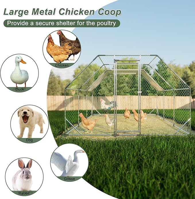 Large Metal Chicken Coop,10x20x6.36 ft Walk-in Chicken Runs for Yard with Waterproof Cover, Flat Shaped Chicken House with Door for Outdoor and Backyard, Farm, Duck Rabbit Cage