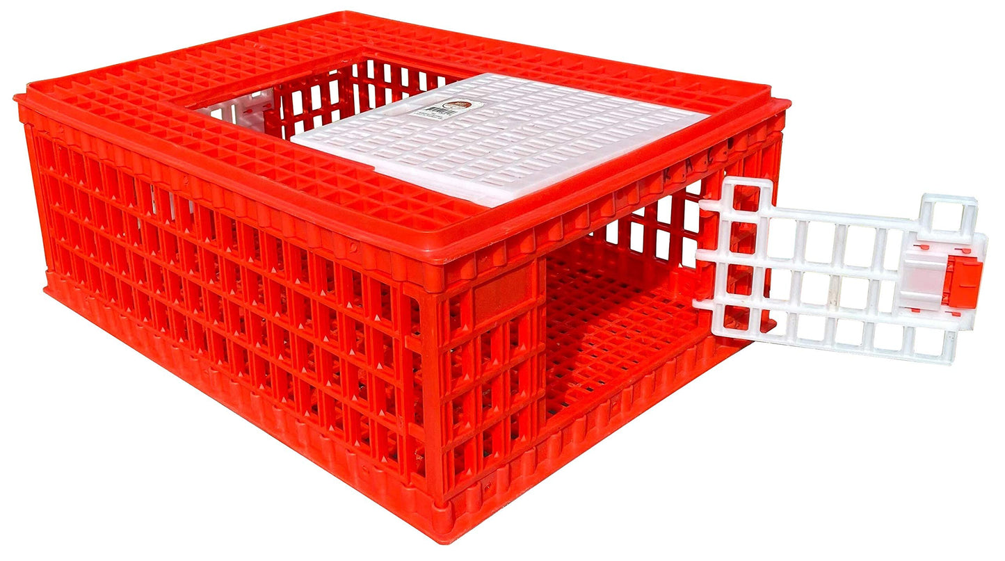 RentACoop Poultry Carrier Crate (Pack of 1) 29" L x 22" W x 12" H for Chickens