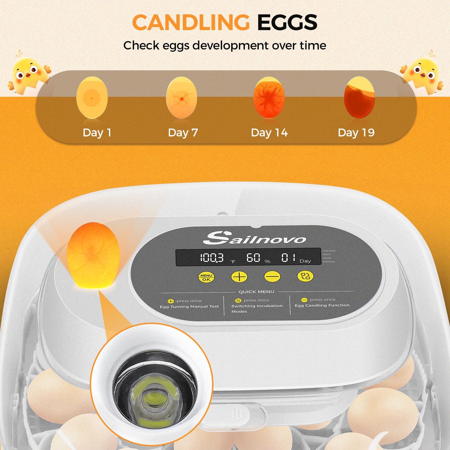 Sailnovo 24 Egg Incubators for Hatching Eggs, 4 Modes Egg Incubator with Automatic Egg Turning and Humidity Display, Egg Candler - 360° View with Clear Window Incubators for Hatching Chicks, Grey