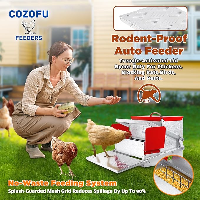 Feeders Automatic Chicken Feeder - Large Capacity for 6-12 Chickens, Lasts 10 Days (25lb Feed), Durable Galvanized Steel, Rat-Proof, No-Spill, Weatherproof Lid