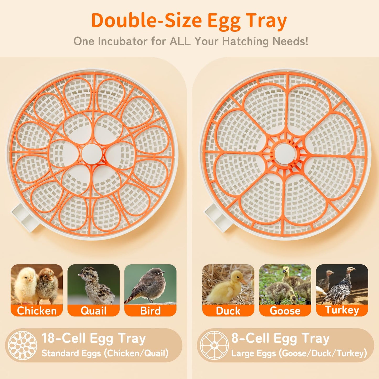 18 Egg Incubator, Automatic and Adjustable Egg Turning, Egg Candler, Temperature and Humidity Control, Hatch Day, 2 Size Egg Tray, Automatic Water Refill, Hatching Chicken Quail Duck Turkey Goose Bird