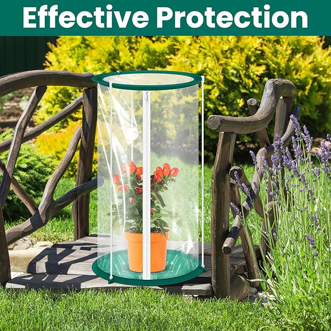 Nuanchu 2 Pieces Mini Greenhouse 19.7 x 10.2 Inch Portable Plant Flowers Mini Cover PVC Clear Greenhouse for Indoor Outdoor Gardening