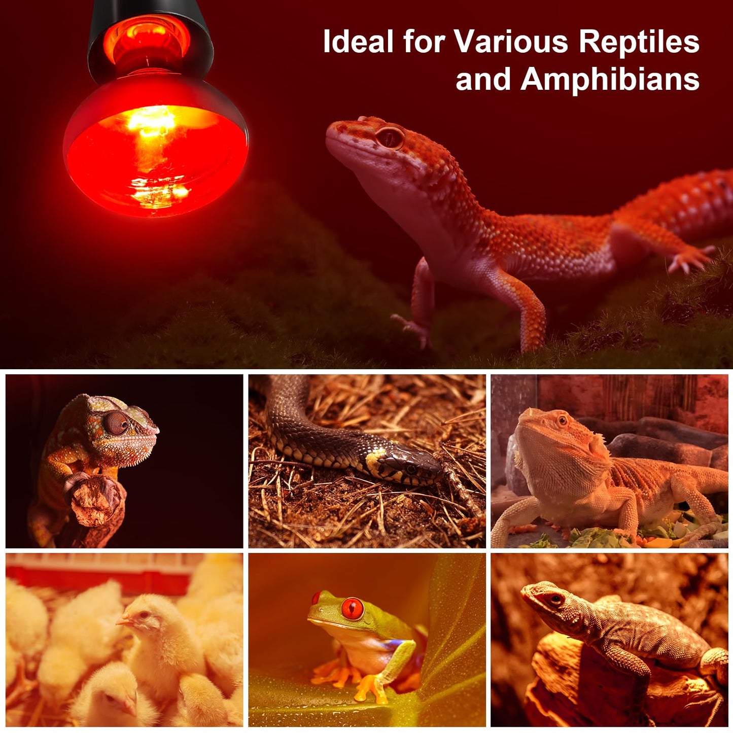 MIXJOY 150W Infrared Heat Lamp Bulbs, 2 Pack Reptile Infrared Heat Emitter Red Heat Lamp Bulbs Infrared Basking Light Bulbs for Reptiles, Bearded Dragon, Lizard, Tortoise, Chickens, Pets