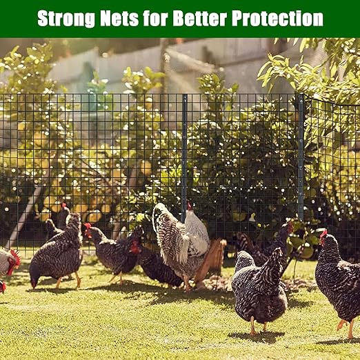 Hardware Cloth 2inchx2inch 36inx50ft 16 Gauge Chicken Wire Fence Galvanized Steel Mesh Rolled Fencing for Garden Supports Poultry Netting Cage Snake Fence Tree Guard, Black