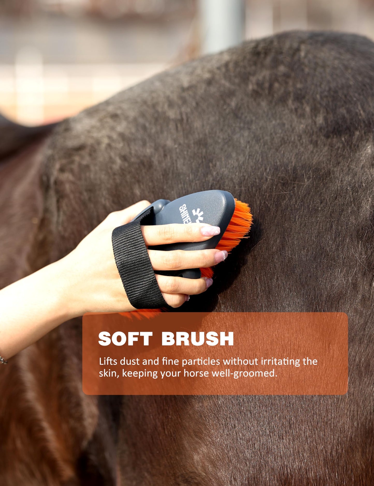 Shinewell Horse Grooming Brushes Kit 9 pieces with Organizer Bag Grooming Care Series Horse Brush Sets Orange
