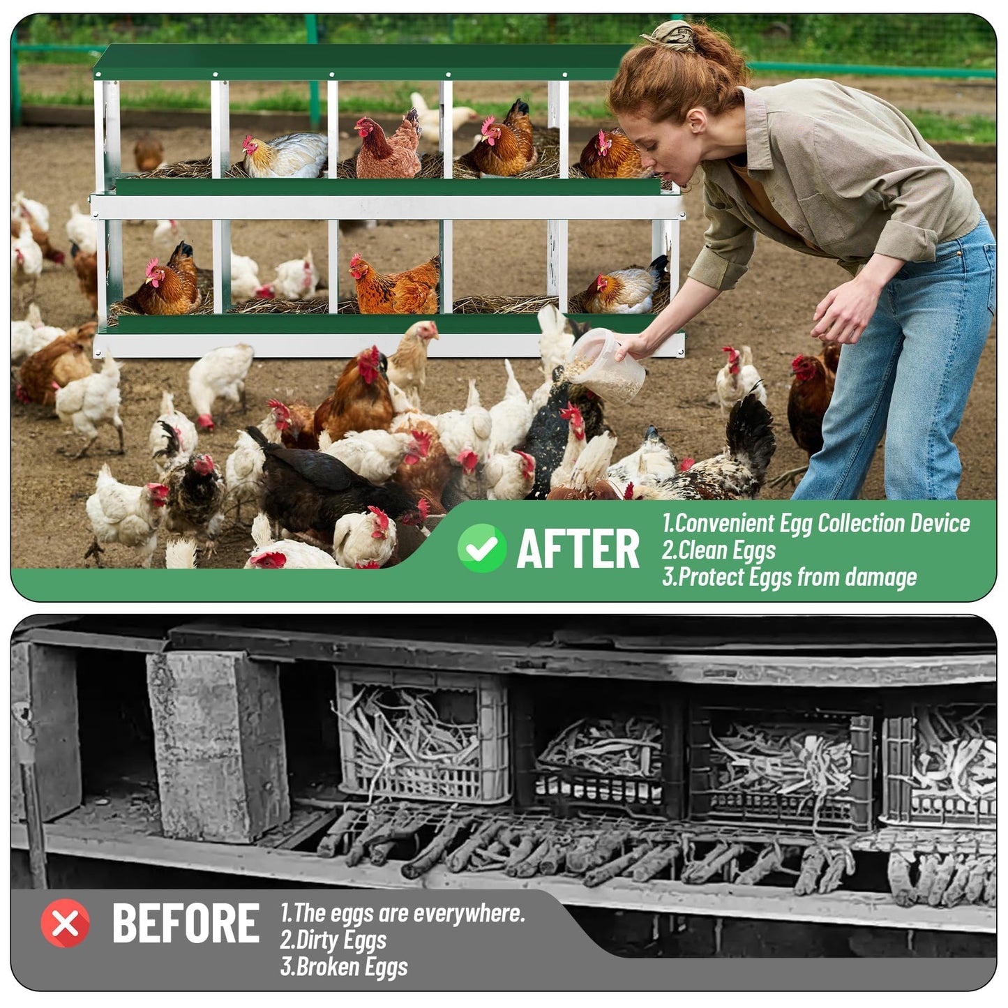 10-Compartment Chicken Nesting Box, Chicken Nesting Boxes for Laying Eggs, Heavy Duty Metal Design for Hens/Ducks, Anti-Peck Rustproof Nest Box, Green