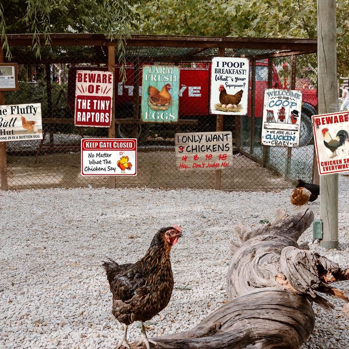 8 Pack Chicken Coop Accessories, Funny Chicken Coop Metal Signs Outdoor Chicken Decor Chickens Farm Personalized Tin Sign Chicken Gifts For Chicken Lovers Chicken House Decor 8×12 Inch