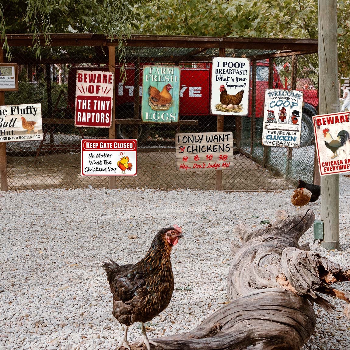 8 Pack Chicken Coop Accessories, Funny Chicken Coop Metal Signs Outdoor Chicken Decor Chickens Farm Personalized Tin Sign Chicken Gifts For Chicken Lovers Chicken House Decor 8×12 Inch