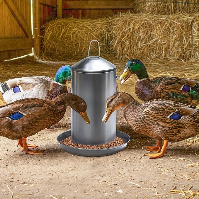 Plexon 8.8 Lb Stainless Steel Hanging Chicken Feeder no Waste Food-Grade - Duck Turkey Poultry Feeder for Chicken Metal - Heavy Duty Reliable Long-Lasting with Handle