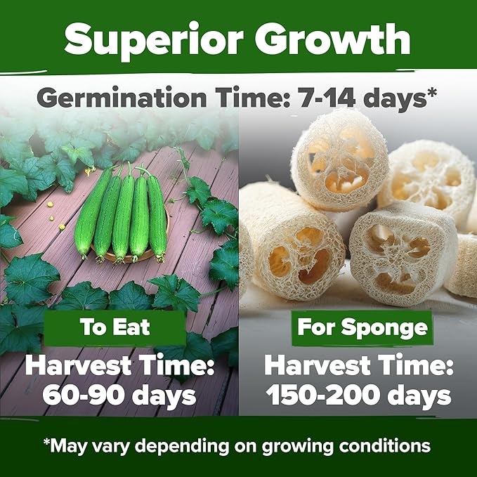 HOME GROWN Heirloom Garden Seed Kit – 3-Pack | Cherokee Purple & Large Red Cherry Tomato + Luffa Seeds | Non-GMO, USA-Sourced, High Germination Vegetable & Loofah Seeds for Sustainable Gardening