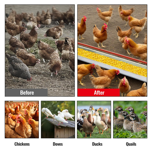 Chicken Feeding Trough 45", Heavy Duty Galvanized Steel Poultry Feeder with Red Crossbar & Drainage Holes, Large Capacity Feeder Trough for Chicken, Duck, Goose, Turkey, Rabbit, Pigeon