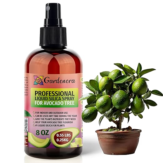 𝐒𝐔𝐏𝐄𝐑𝐈𝐎𝐑 Liquid Silica Boost Fertilizer and Supplement Spray for Avocado Tree Plants – Pre-Mixed, Ready-to-Use Liquid Silicon Plant Superfood Mist for Indoor & Outdoor Plants – 8oz