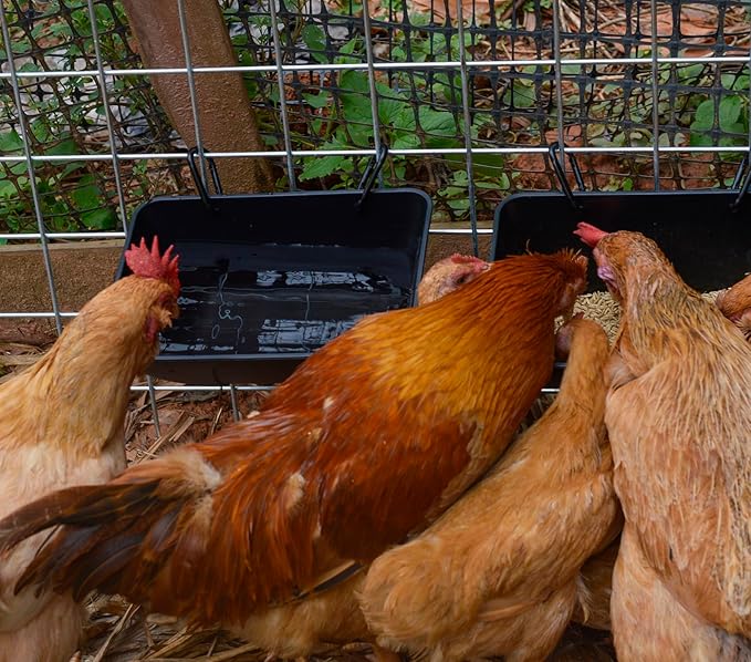 Hanging Chicken Feeder Trough for Goat Sheep Deer Poultry Duck Chicken Fence Feeder Livestock Feeding Container Goats Supplies Feeders Waterer Bucket