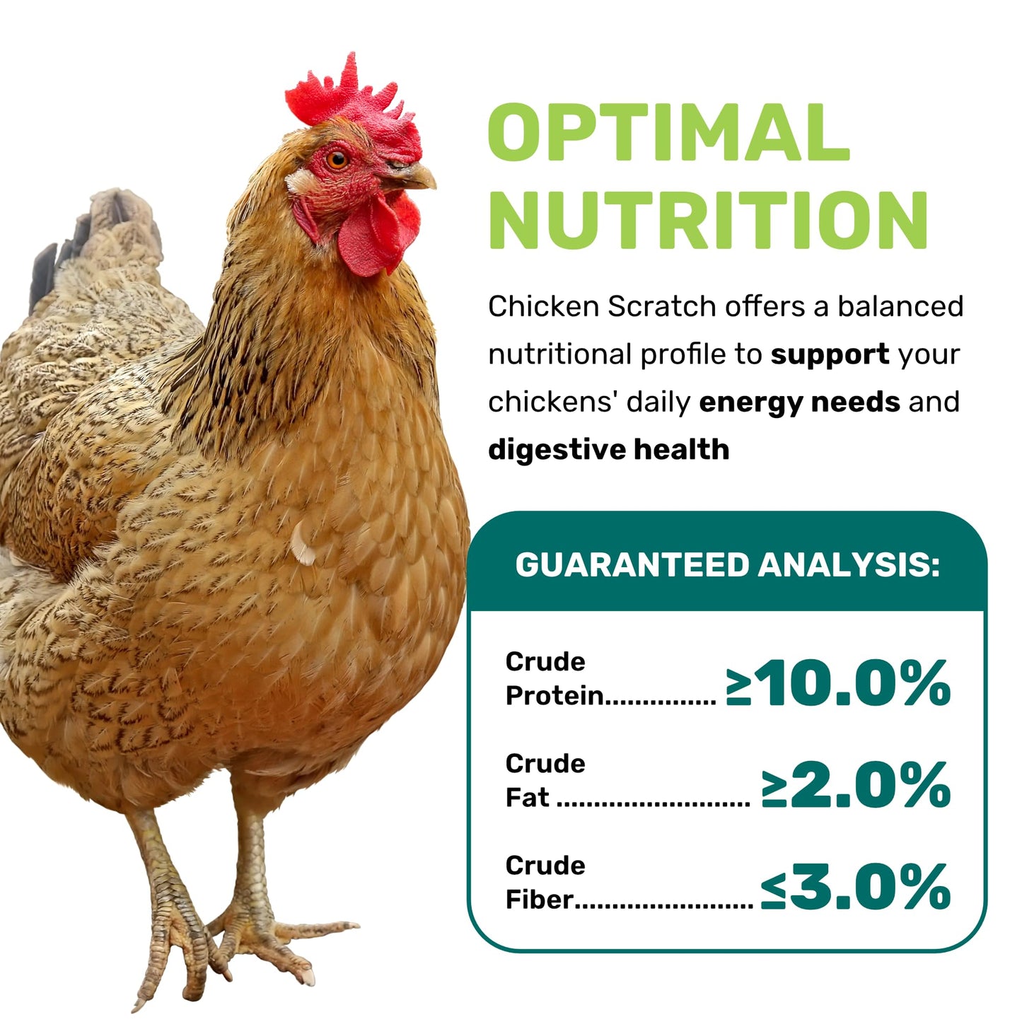 LEACH GRAIN & MILLING CO. Chicken Scratch 5 Lbs, Chicken Feed - High Protein and Fiber - Healthy Whole Grains - Supports Energy & Digestive Health, Natural Food and Supplies for Poultry