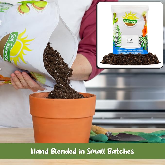 Fern Plant Potting Soil Mix (8 Quarts), Custom Hand Blended Mixture for Indoor/Outdoor Container Gardening