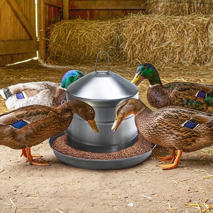 Plexon 17.6 Lb Stainless Steel Hanging Chicken Feeder no Waste Food-Grade Large - Poultry Feeder for Chicken Metal - Heavy Duty Reliable Long-Lasting with Handle