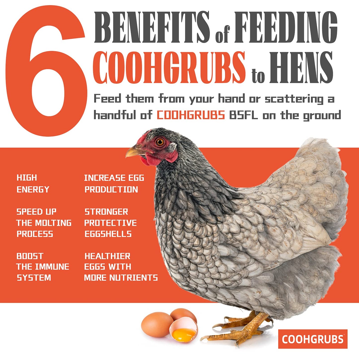 COOHGRUBS Dried Black Soldier Fly Larvae 2 lb – High Protein Chicken Feed with More Calcium Than Mealworms for Chickens, Birds, Reptiles & Small Pets