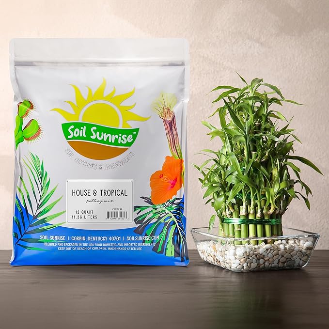 Soil Sunrise Tropical House Plant Potting Mix (12 Quarts); for All Types of Indoor House Plants
