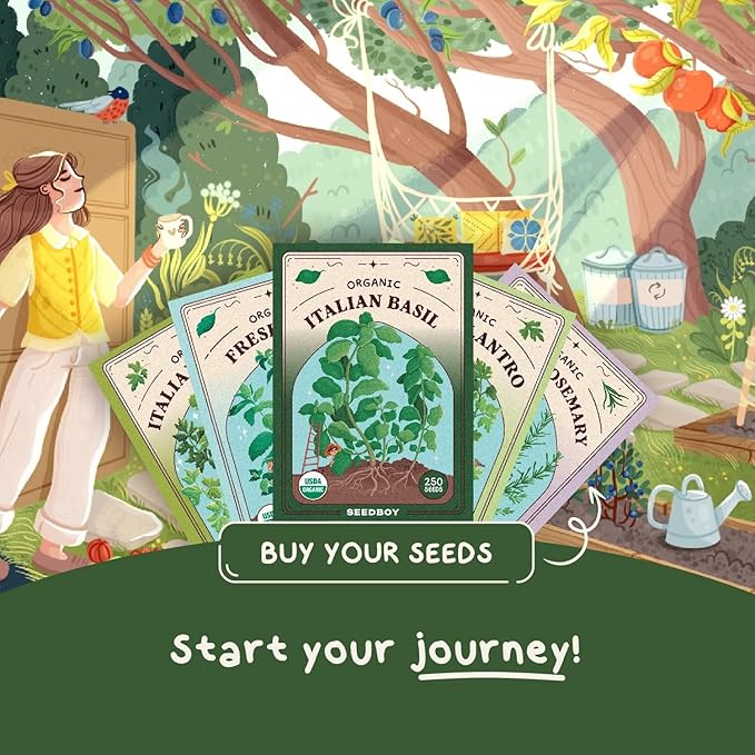 Seedboy 250 Organic Basil Seeds for Planting Indoor and Outdoor, Non-GMO and USDA Certified Herb Seed Packet for Hydroponic Garden Indoor or Planting Outdoors (Genovese Basil)