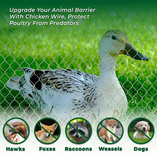 48 in x 150 ft, 2 inch Metal Mesh Pencing, Chicken Wire Fencing, Hexagonal Galvanized Poultry Wire Netting for Chicken, Duck, Goose, Rabbit Fencing