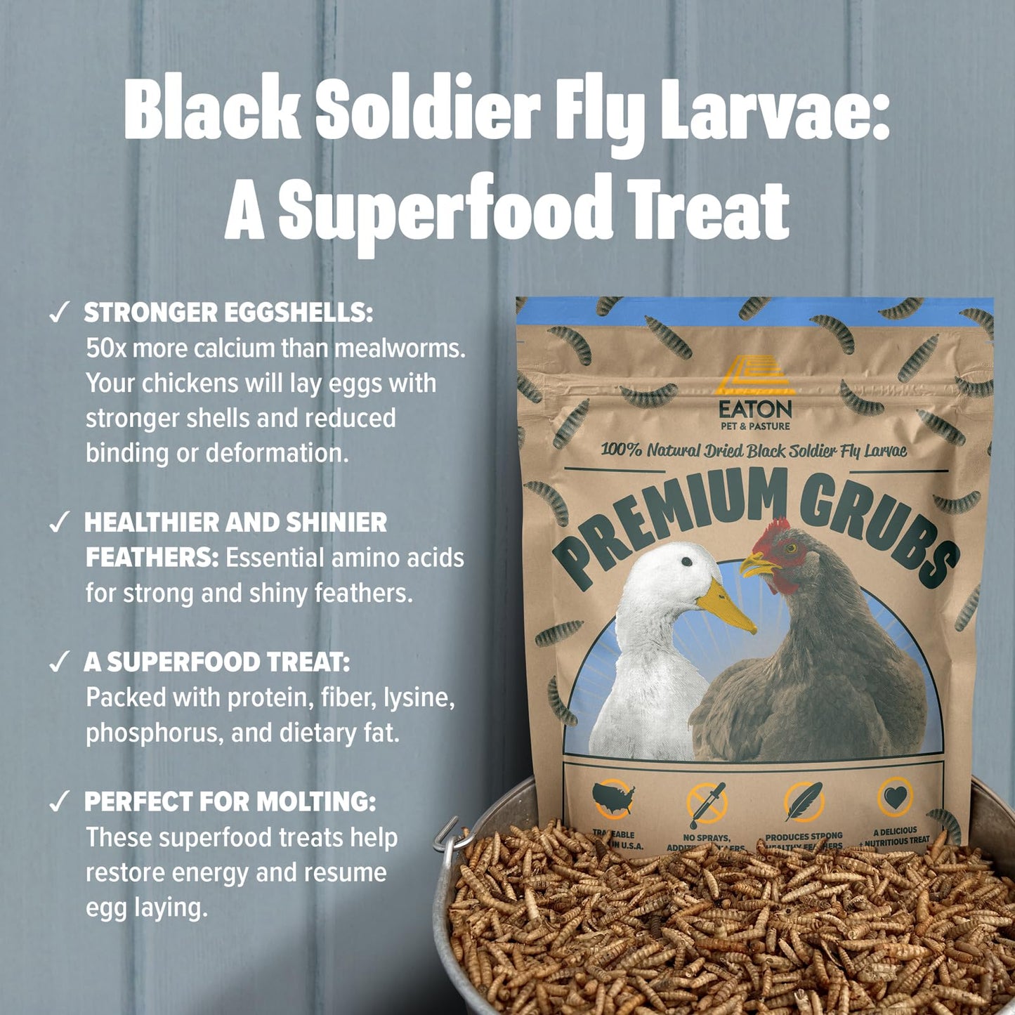 Eaton Pet and Pasture Premium Grubs, USA Grown Dried Black Soldier Fly Larvae, High Calcium Treat for Chickens, Ducks, Wild Birds (1 LB)