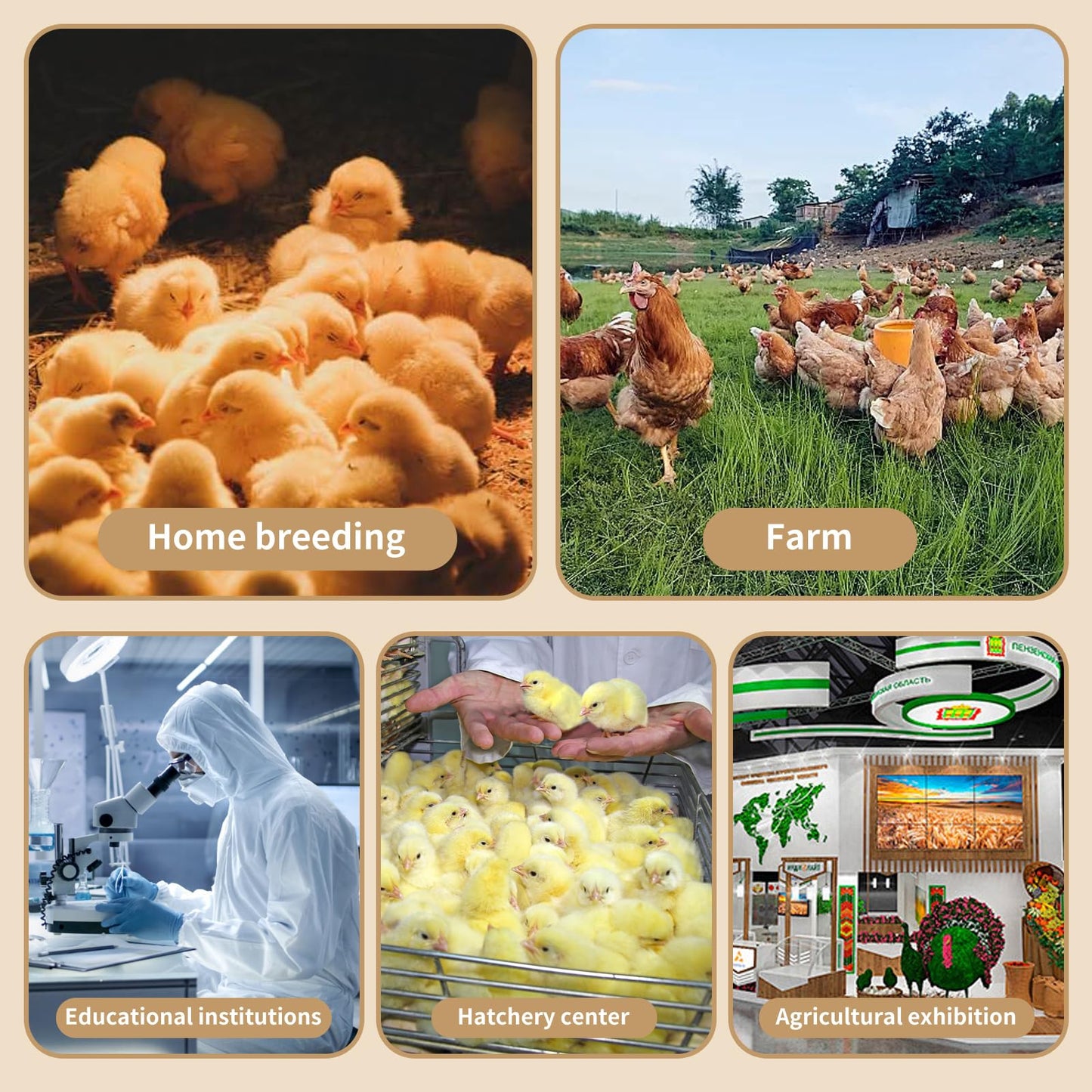 22-Piece Large Chicken Brooder Box 32", All-in-One Kit, Up to 35 Chicks Capacity, Brooder with Temp Controller, Thermometer, Chicken Brooder Box for Quail, Hamsters, Pattern A