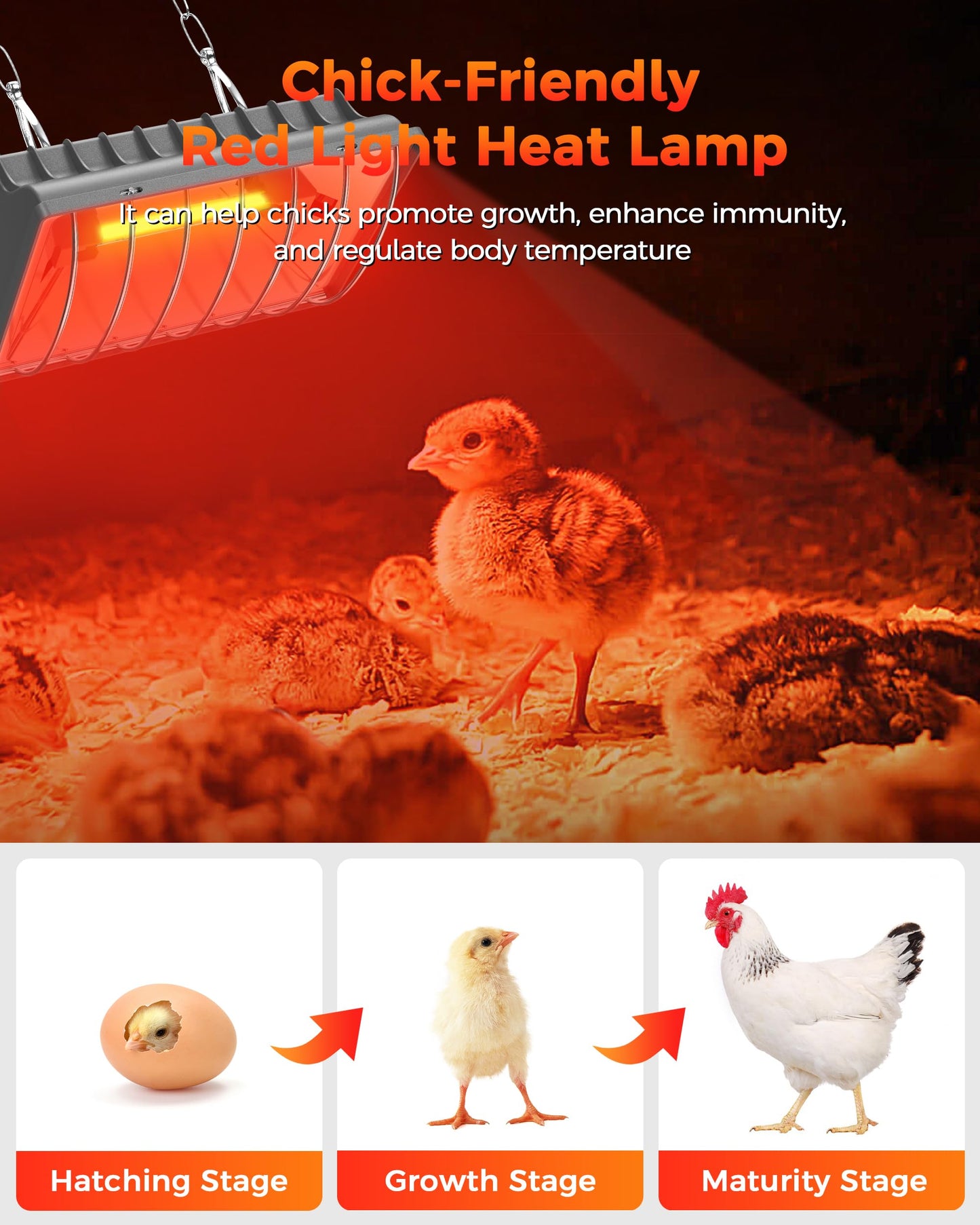 Chicken Heater Replacement Bulb, 250W Infrared Heat Lamp, 110V, 4000-5000 Hours Lifespan, Suitable for Pet and Livestock Brooder Heater Accessories, 1 Pack