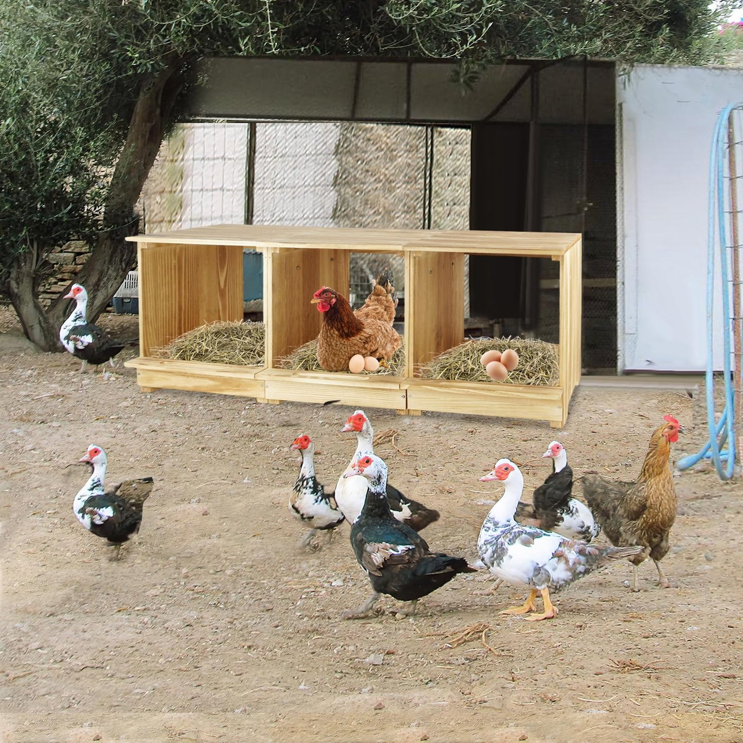 Nesting Boxes for Chickens 3 Compartments Chicken Nesting Boxes Wall Mount Nest Box for Chicken Coop Versatile Use Wood Nesting Boxes for Hens Easy to Assemble for Chickens, Hens, Ducks