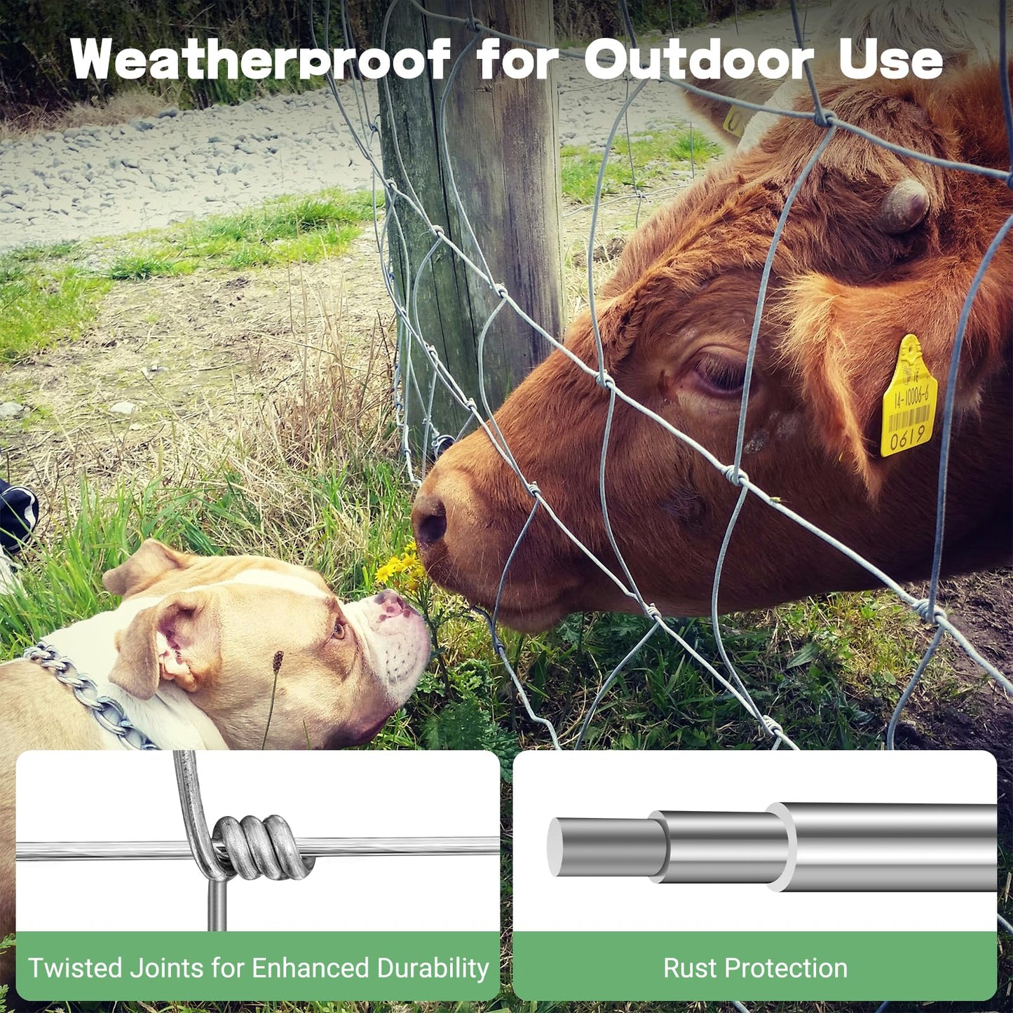 Zevemomo 5ft x 164ft Farm Fence, Wire Fence Rolls, Galvanized Farm Fence, Cattle Fence, Hog Wire Fence Panels, Heavy Duty Wire Mesh for Deer, Pig, Sheep Enclosure for Yard, Garden, Field Use-13 Gauge