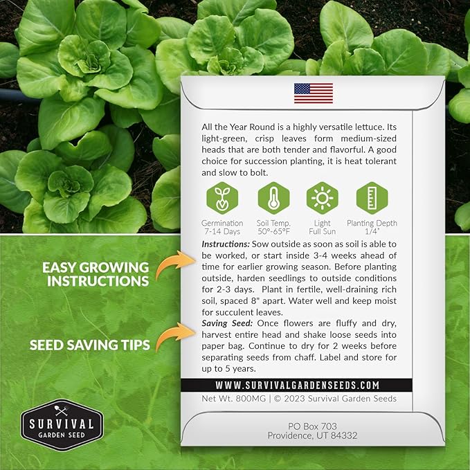 All The Year Round Lettuce Seed for Planting - 2 Packets with Instructions to Plant & Grow Adaptable Salad Greens in Your Home Vegetable Garden - Non-GMO Heirloom Variety - Survival Garden Seeds