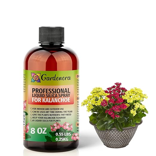 𝐒𝐔𝐏𝐄𝐑𝐈𝐎𝐑 Liquid Silica Boost Fertilizer and Supplement Spray for KALANCHOE Plants – Pre-Mixed, Ready-to-Use Liquid Silicon Plant Superfood Mist for Indoor & Outdoor Plants – 8oz