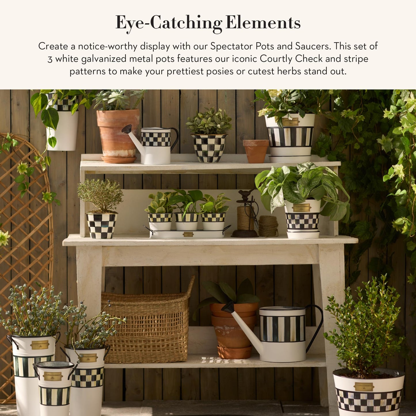 MACKENZIE-CHILDS Galvanized Flowerpots and Saucers, Set of 3, Black-and-White Spectator