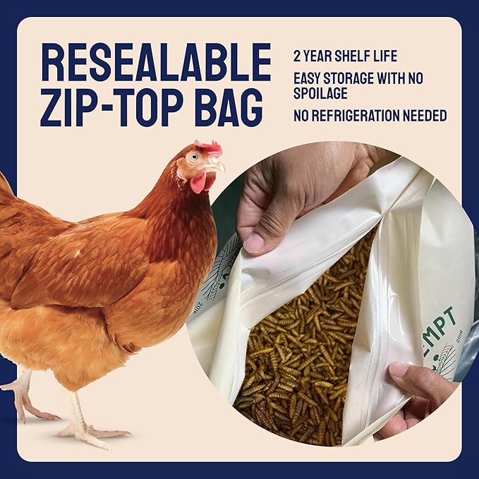 Chicken Feed & Treats - 10 Lb Non-GMO Bulk Larvae & Grubs - High-Protein Food for Laying Hens & Poultry - Grubs & Worms for Chickens & Bluebird Food - Calcium-Rich Supplement