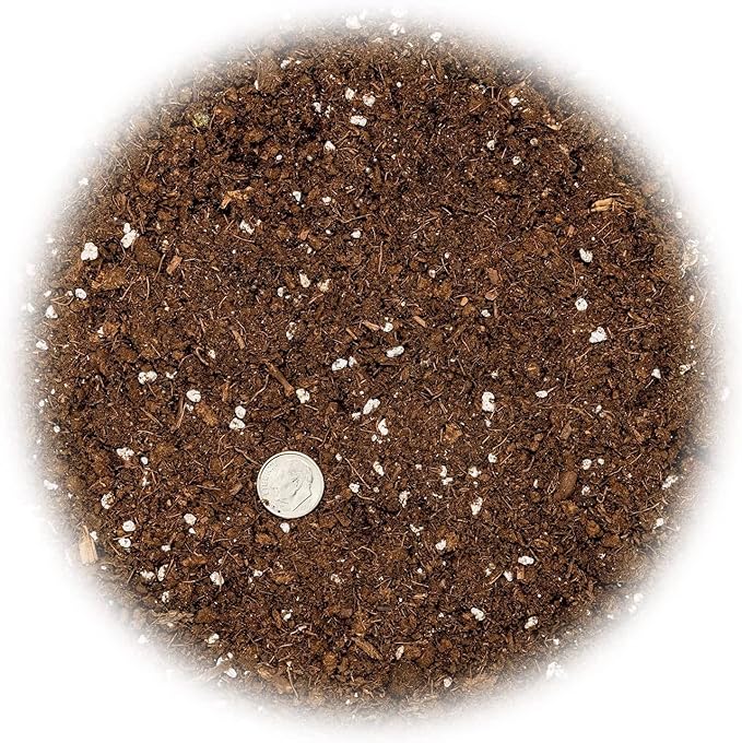 Premium Dracaena Potting Soil Mix - (2 Quart Bag)