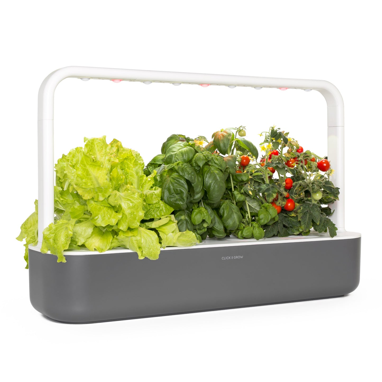Click and Grow Bundle Smart Garden 9 Gray with 18 Plant Pods: Starter Kit (3 Basil, 3 Lettuce, 3 Mini Tomato) with 3 Wild Strawberry, 3 Thyme and 3 Romaine Lettuce