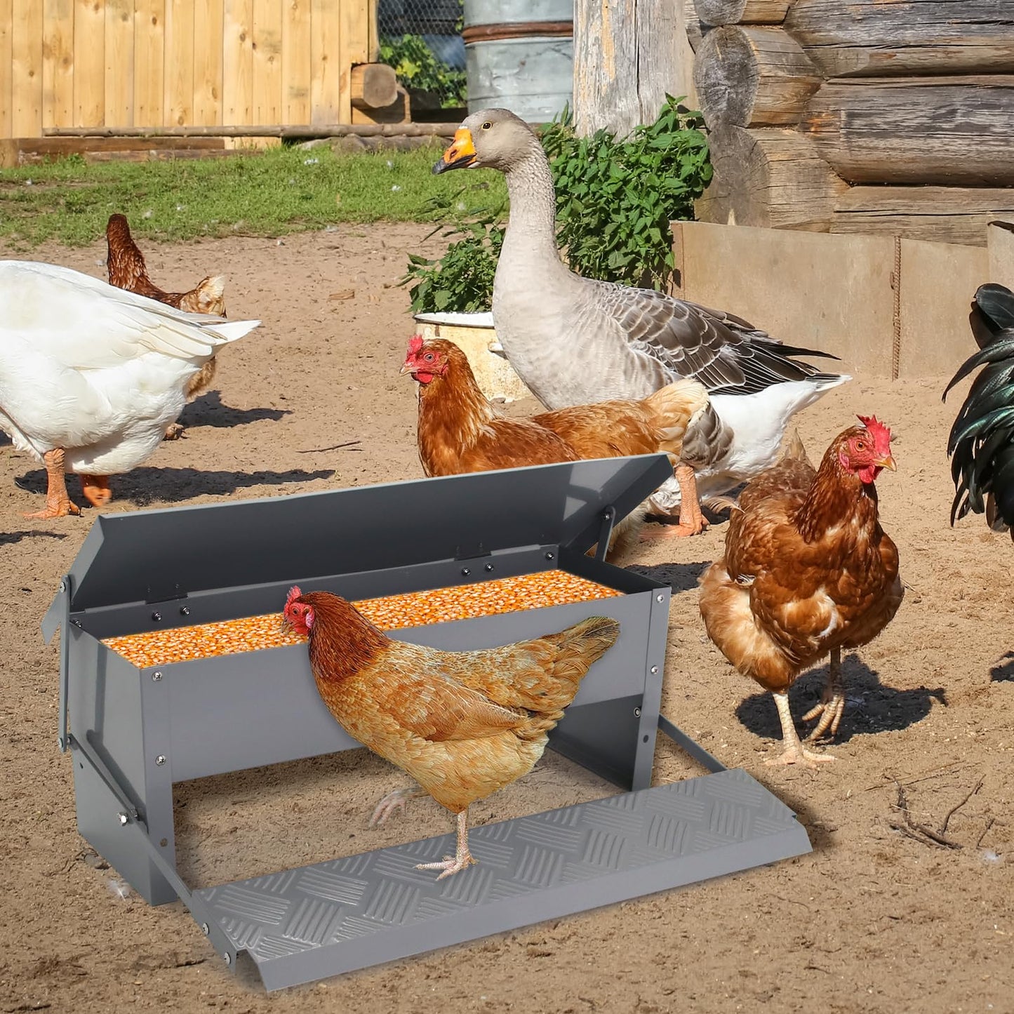 Lucky Farm Automatic Chicken Feeder Metal Treadle Trough 15lb Outdoor Rainproof for Chickens, Bantams, Poultry, Pheasants