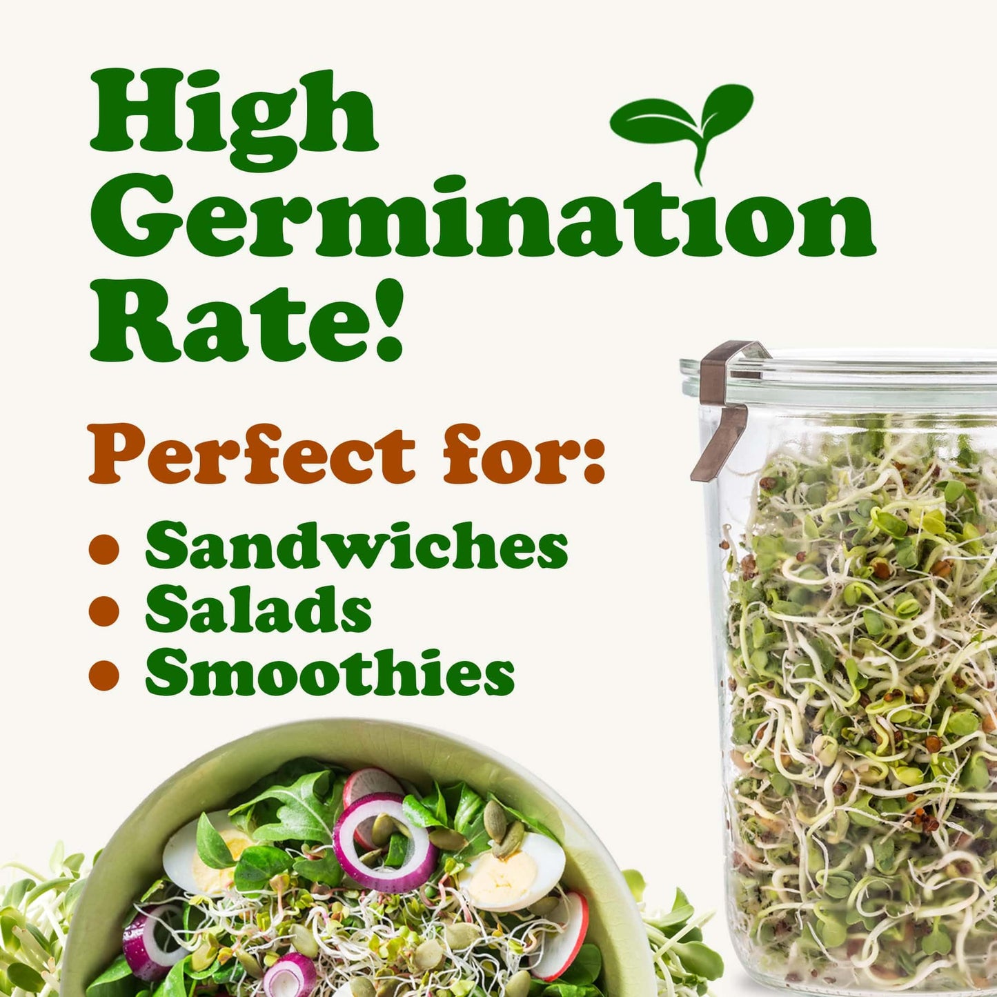 Food to Live - Antioxidant Mix of Sprouting Seeds, 10 Pounds — Broccoli, Clover, Alfalfa, Kosher, Raw, Vegan