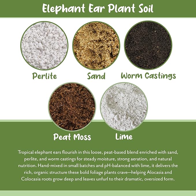 Elephant Ear Potting Soil Mix (8 Quarts), Colocasia and Alocasia Potted Plant Blend
