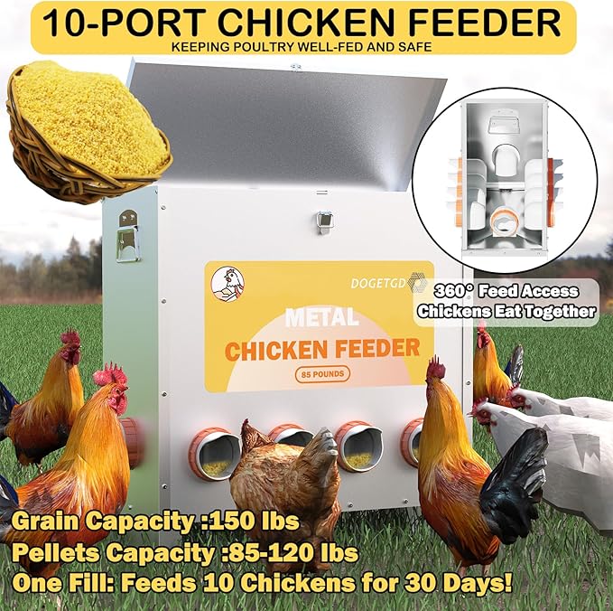 Automatic Chicken Feeder No Waste Metal Poultry Feeder Large Capacity 85lbs for Chickens, Geese, Ducks, Turkeys, Quails (10-Port)