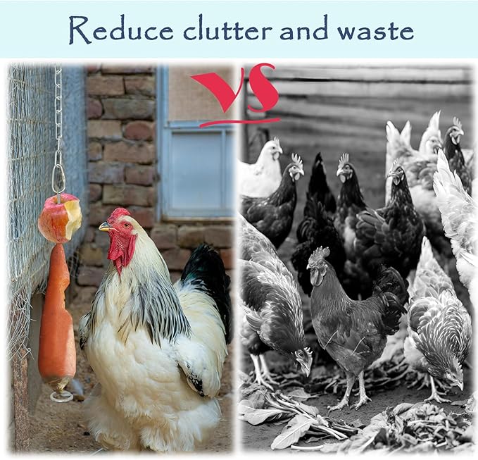 3 Pack Hanging Chicken Feeder with Hooks, Fruit Fork for Chicken Coop Accessories, Chicken Toys & Vegetable Skewers
