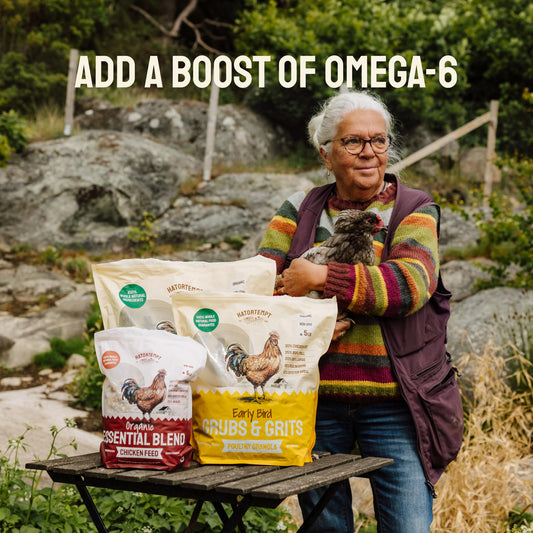 Hatortempt 5lb Grubs & Grits Organic Chicken Feed - 3 Grub Blend with Oyster Shells & Grits - Dried Mealworms for Chickens Plus Large & Small Black Soldier Fly Larvae - Food Designed for Foraging