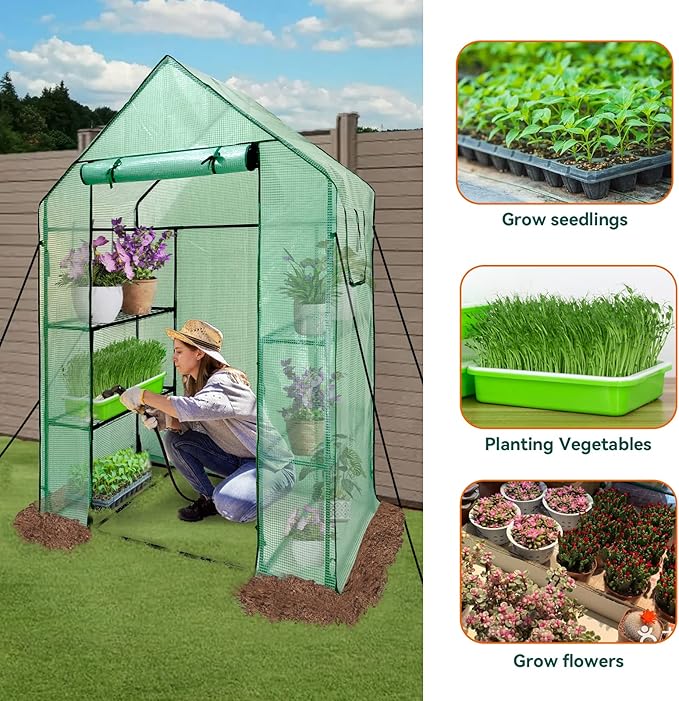 Walk in Greenhouse with Shelves,Walk-in Plant Plastic Green House with Windows Green PE Cover, 3 Tiers 6 Shelves Greenhouse Frame Stands with Ground Pegs & Ropes,56" L x 29" W x 77" H