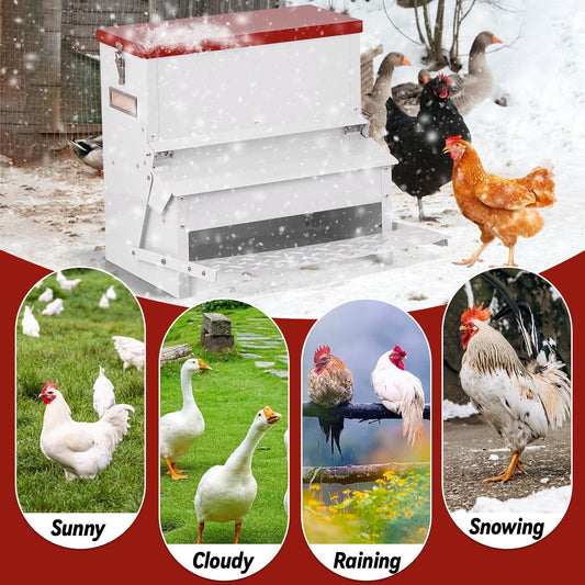 LZWUNYXE Automatic Chicken Feeder No Waste 25lbs Treadle Chicken Feeder Galvanized with Rat Proof Cover and Weatherproof Lid for Fowl,Pheasants,Duck and Roosters