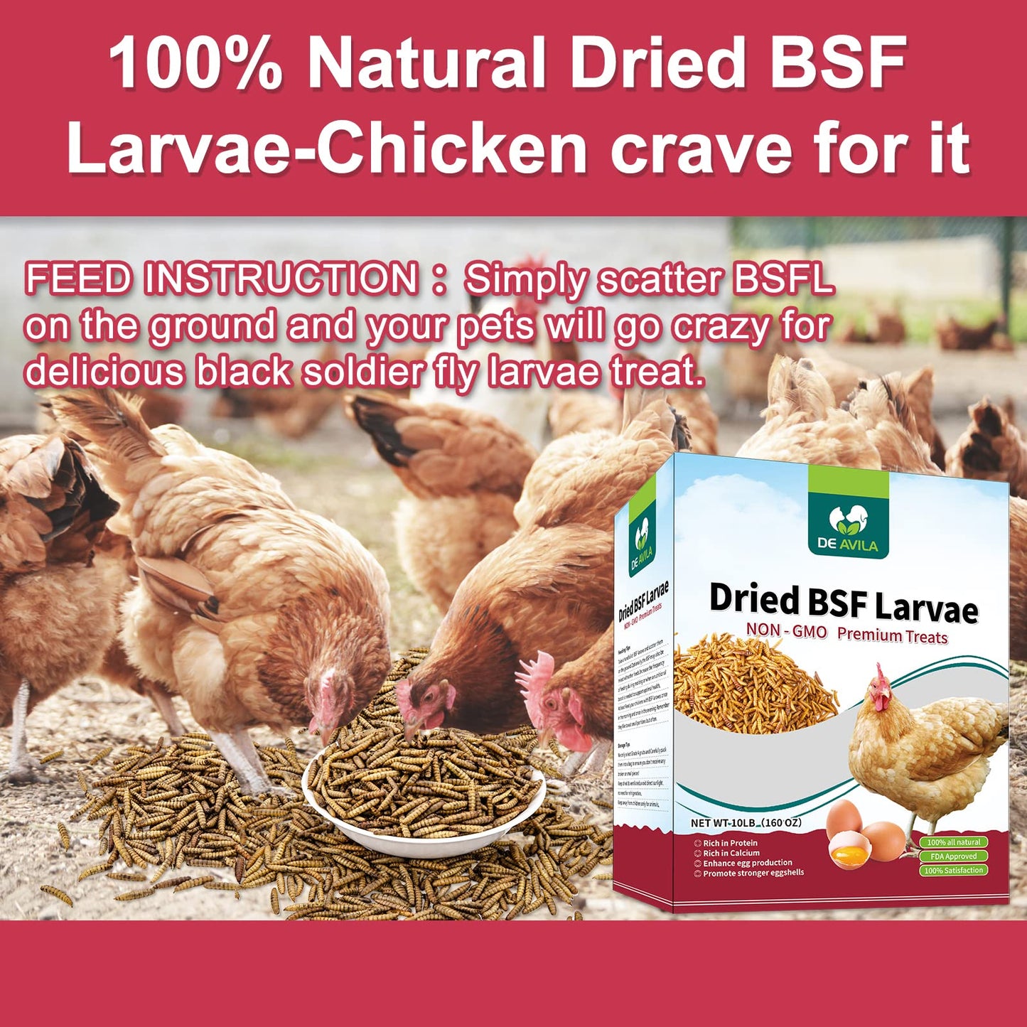 DE AVILA Dried Black Soldier Fly Larva 11 LBS 100% Natural BSF Larvae Non-GMO, 85XMore Calcium Than Mealworms, High Calcium Treats for Chickens Birds Reptiles Hedgehog Geckos Turtles