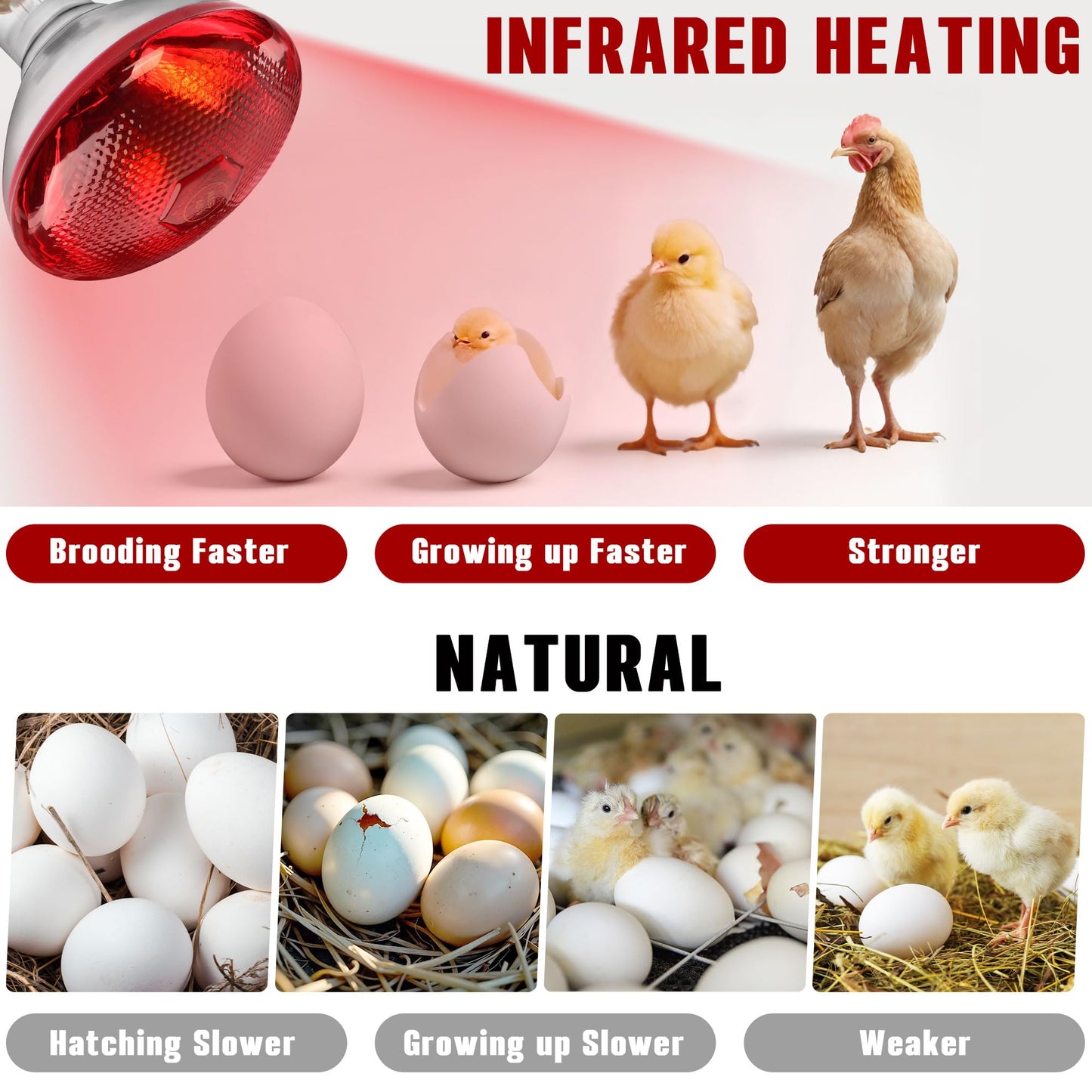 ROVOCLO Heat Lamp for Chickens,150W Red Heat Lamp Infrared Light Bulb for Chicks,Chicken Coop