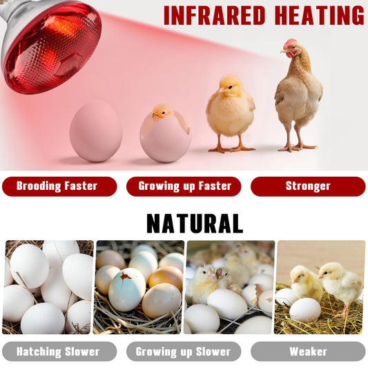 ROVOCLO Heat Lamp for Chickens,150W Red Heat Lamp Infrared Light Bulb for Chicks,Chicken Coop