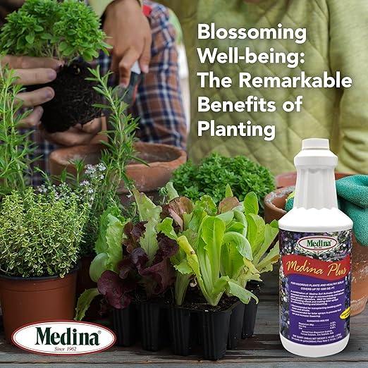 Medina Plus Liquid Fertilizer - Qt.
